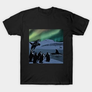 Aurora Borealis II T-Shirt